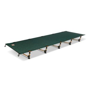 Lowdown Cot Fern